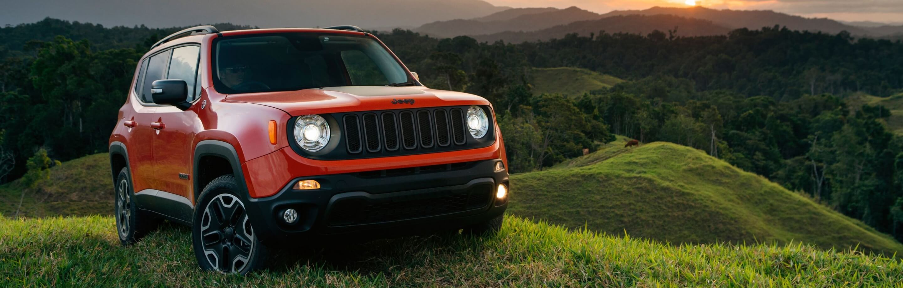 Jeep Officially a Cult Brand