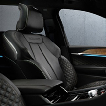 12-WAY SEAT W/ MASSAGE