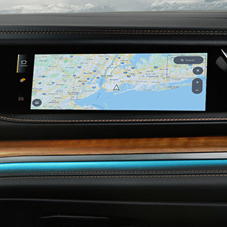 10" Passenger Display