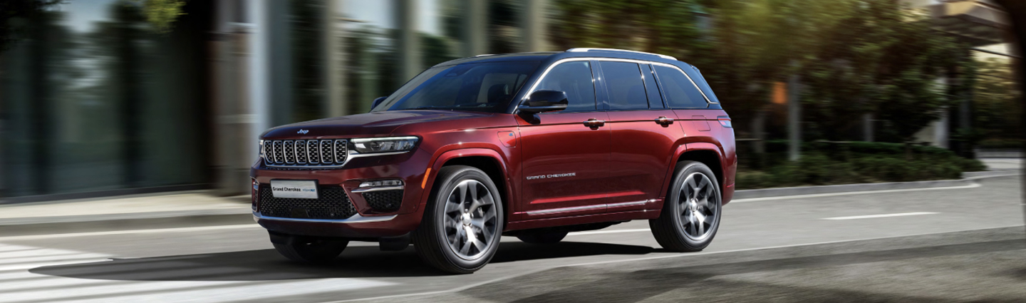 safety and security driver inside